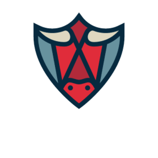 betbull logo